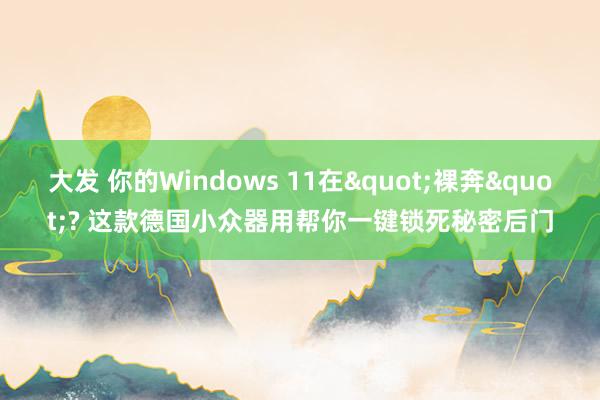 大发 你的Windows 11在"裸奔"? 这款德国小众器用帮你一键锁死秘密后门