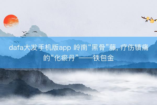 dafa大发手机版app 岭南“黑骨”藤， 疗伤镇痛的“化瘀丹”——铁包金