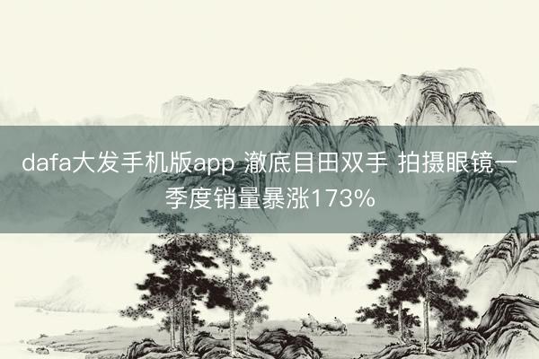 dafa大发手机版app 澈底目田双手 拍摄眼镜一季度销量暴涨173%