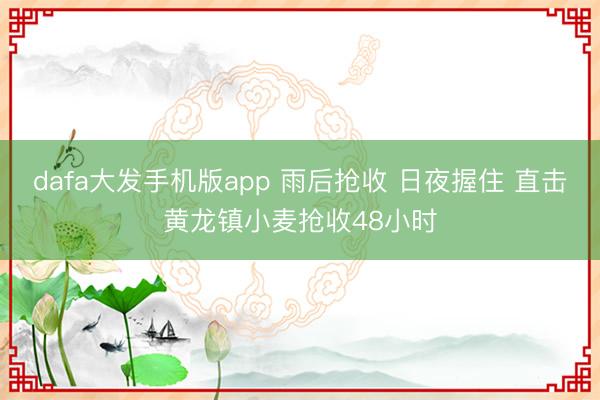 dafa大发手机版app 雨后抢收 日夜握住 直击黄龙镇小麦抢收48小时