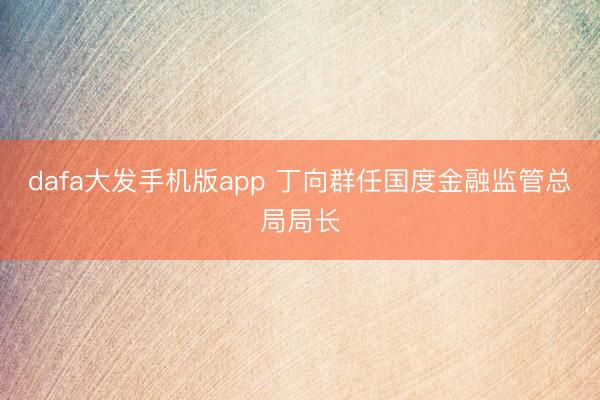 dafa大发手机版app 丁向群任国度金融监管总局局长