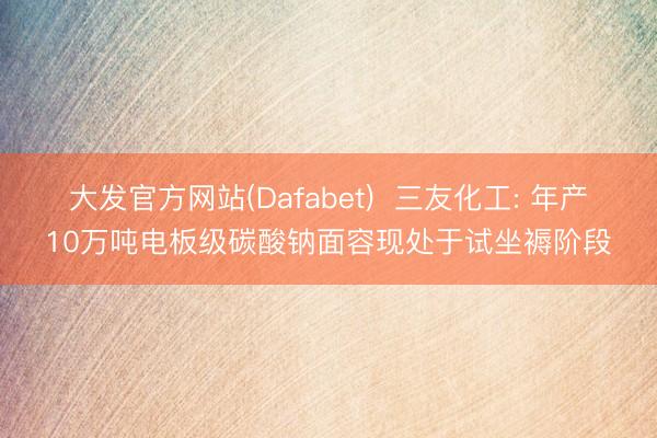 大发官方网站(Dafabet)  三友化工: 年产10万吨电板级碳酸钠面容现处于试坐褥阶段