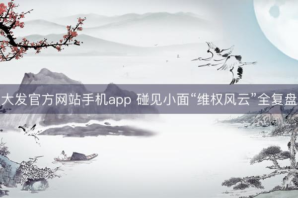 大发官方网站手机app 碰见小面“维权风云”全复盘